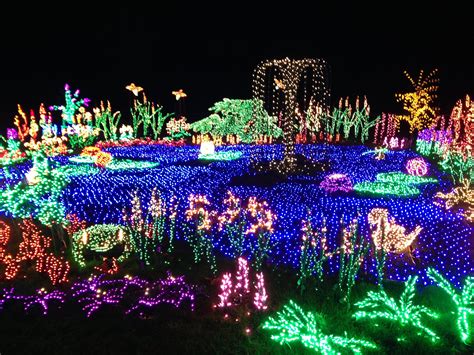 christmas lights botanical gardens